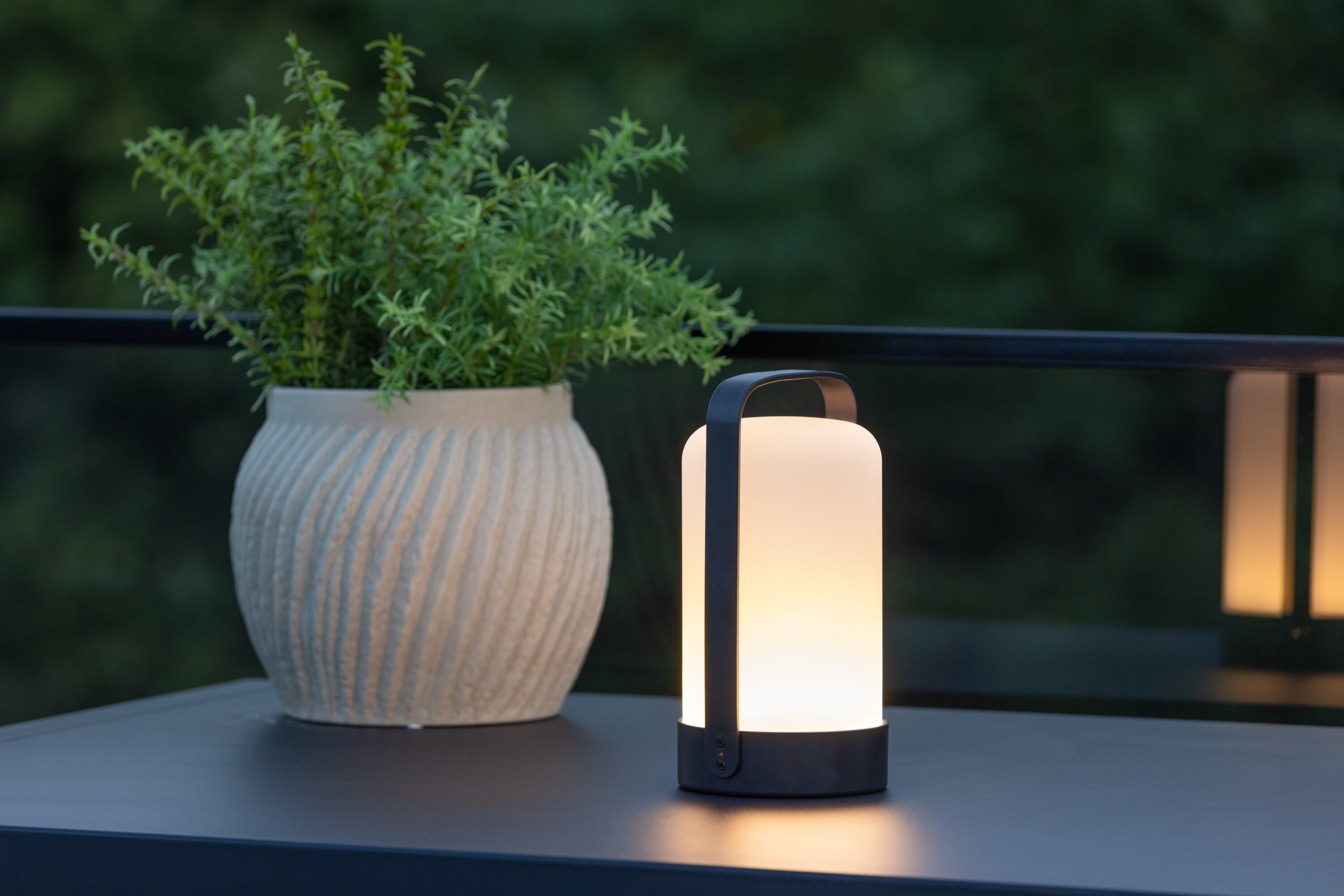 Lampe de table Fern