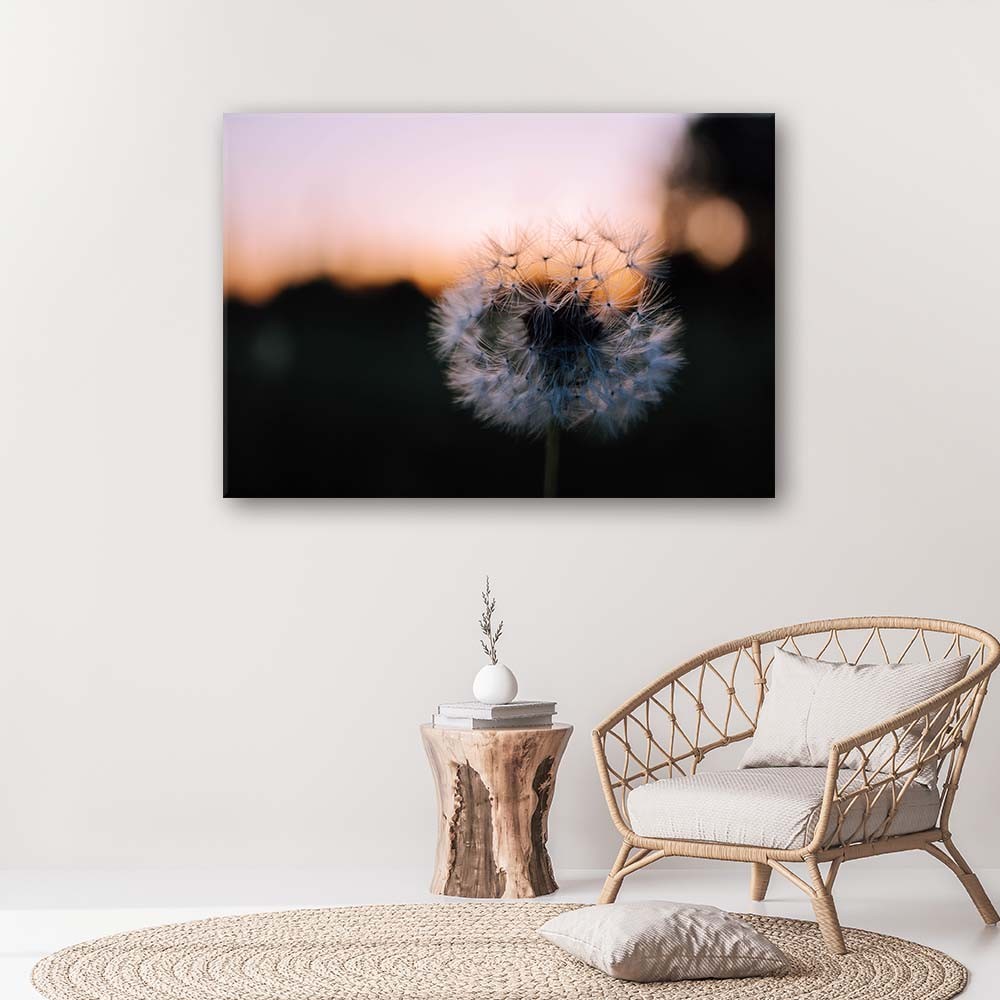 Horizontaal decoratief frame in mdf gedrukt op canvas paardenbloem bij zonsondergang