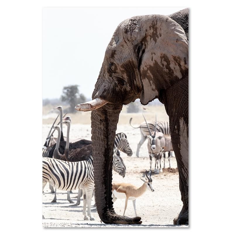 Ophangframe in mdf gedrukt op canvas uit één stuk dieren in de savanne olifant zebra struisvogel en antilope