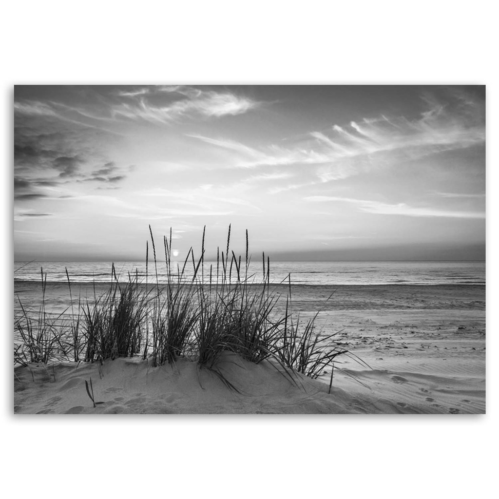 Cadre décoratif fabriqué en mdf avec image d'herbes sur la plage tons gris feeby-02