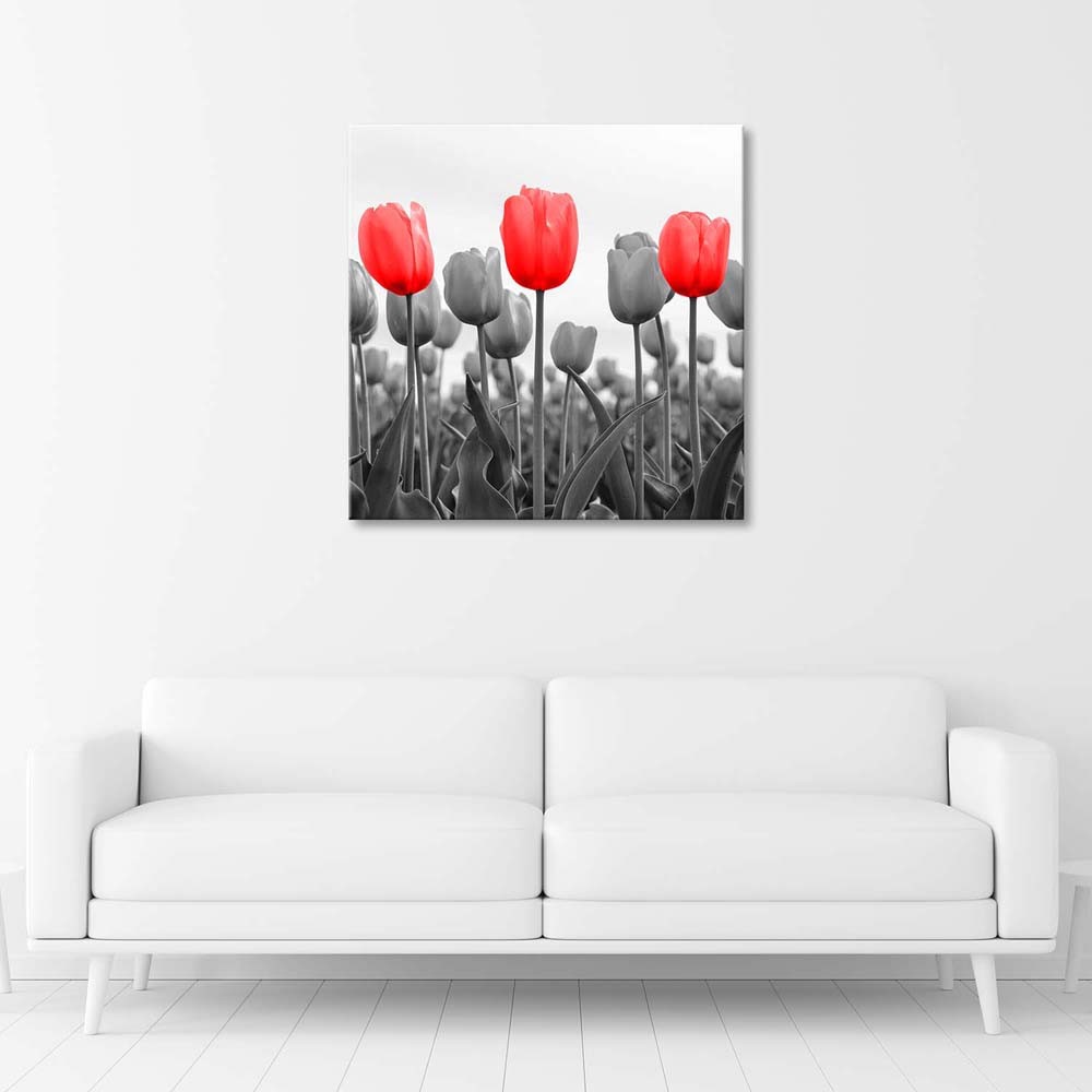 Cadre en mdf avec image de tulipes dans un pré imprimée sur toile noir et blanc feeby-01