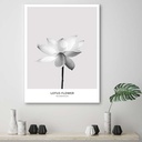 Cadre décoratif en mdf imprimé sur toile fleur de lotus blanche feeby-01