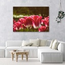 Cadre décoratif horizontal en mdf imprimé sur toile tulipes en fleurs feeby-01