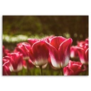 Cadre décoratif horizontal en mdf imprimé sur toile tulipes en fleurs feeby-02