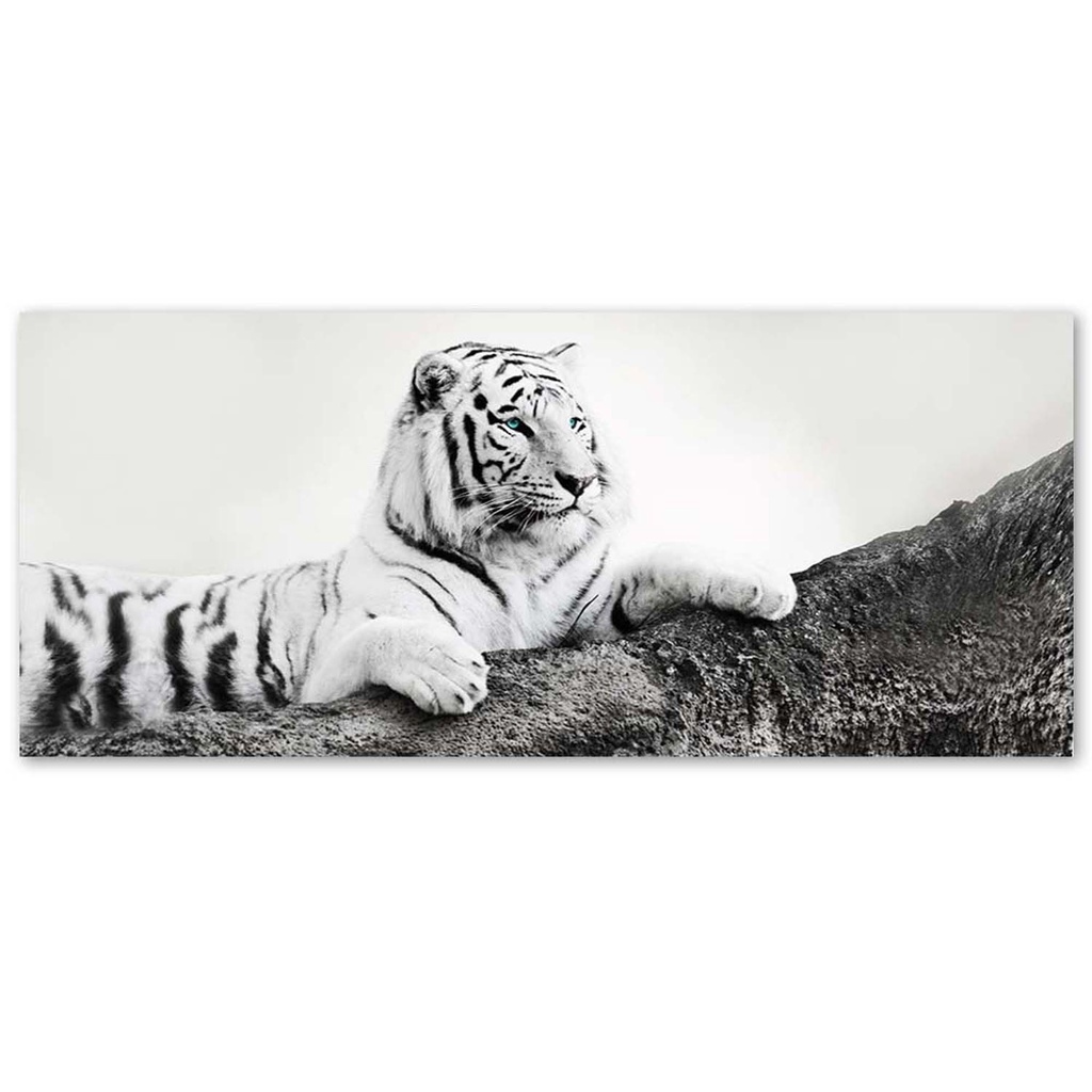 Cadre de tigre vigilant imprimé sur toile en mdf solide avec une finition de couleur noir et blanc feeby-02