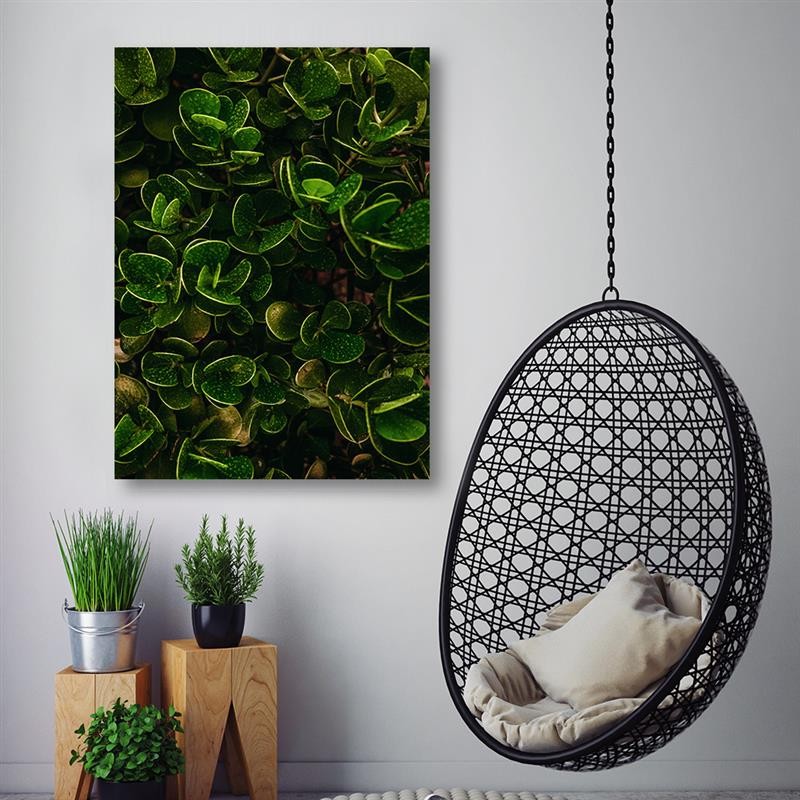 Cadre imprimé sur toile avec image de feuilles vertes et plantes exotiques fabriqué en bois et toile feeby-01