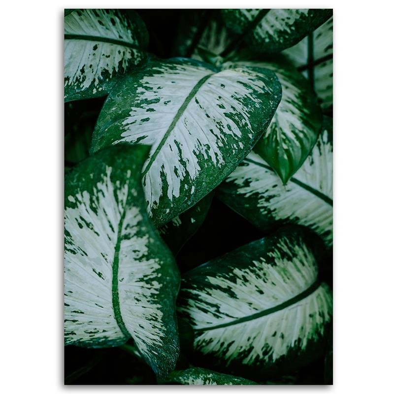Cadre imprimé sur toile avec image de feuilles tropicales blanches et vertes fabriqué en bois et toile feeby-02