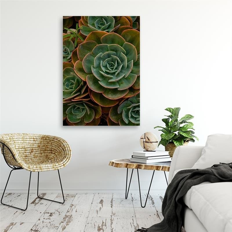 Cadre imprimé sur toile avec image de succulente verte fabriqué en bois et toile feeby-01