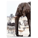 Cadre à suspendre en mdf imprimé sur toile d'une seule pièce animaux dans la savane éléphant zèbre autruche et antilope feeby-02