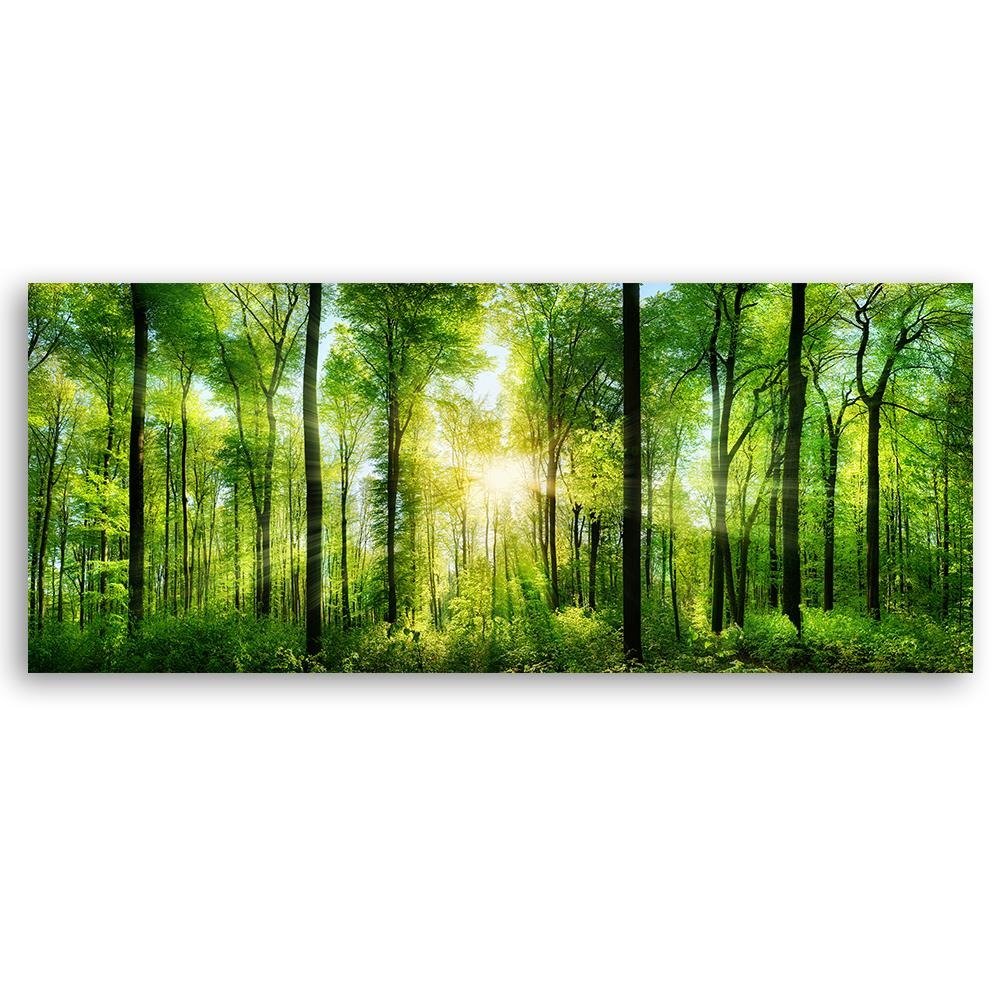 Cadre décoratif rectangulaire imprimé sur toile avec image de rayons de soleil dans le bois feeby-02