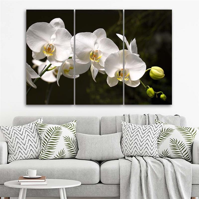 Cadre imprimé sur toile composé de 3 pièces avec image d'orchidée blanche sur fond noir fabriqué en mdf et toile feeby-01