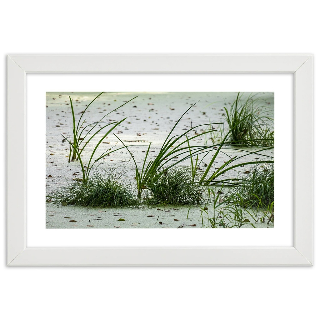 Cadre avec image d'herbes sur la plage imprimée sur papier satiné finition verte avec cadre en bois feeby-02