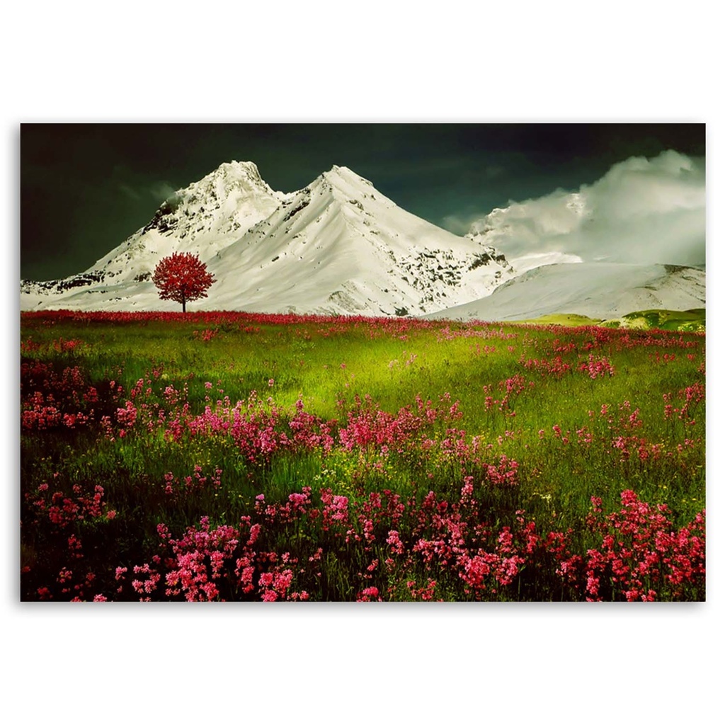 Cadre décoratif horizontal en hdf imprimé sur papier montagnes enneigées avec prairie colorée feeby-02