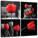 Ensemble de cadres imprimés sur toile avec cadre en mdf tulipes rouges