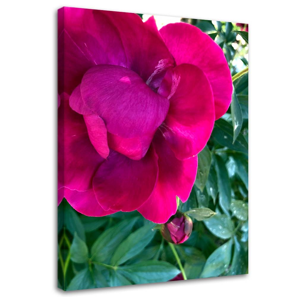 Cadre décoratif en mdf imprimé sur toile grande fleur de couleur rose