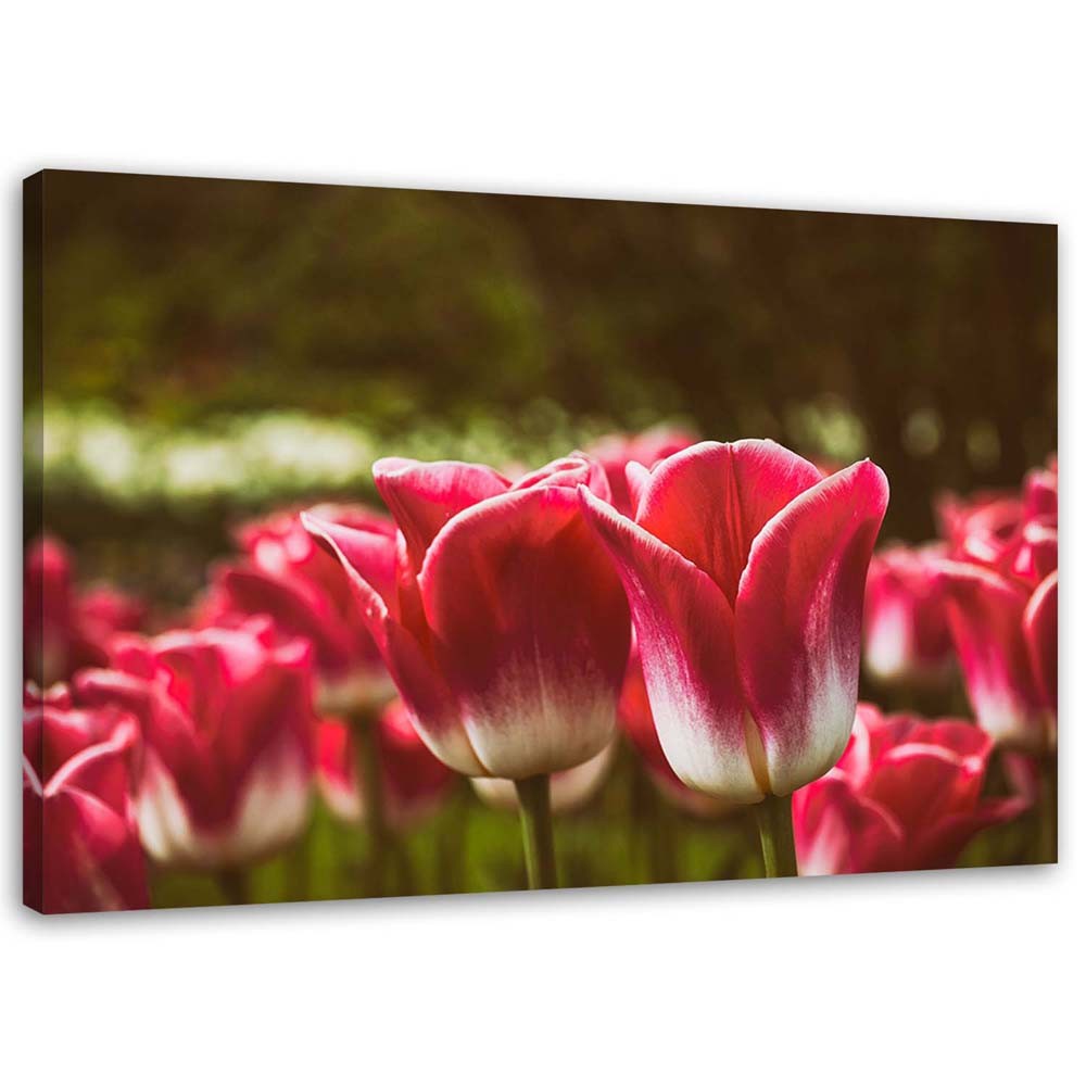 Cadre décoratif horizontal en mdf imprimé sur toile tulipes en fleurs