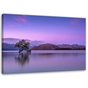 Cadre avec image de paysage imprimé sur toile classique avec une finition violette