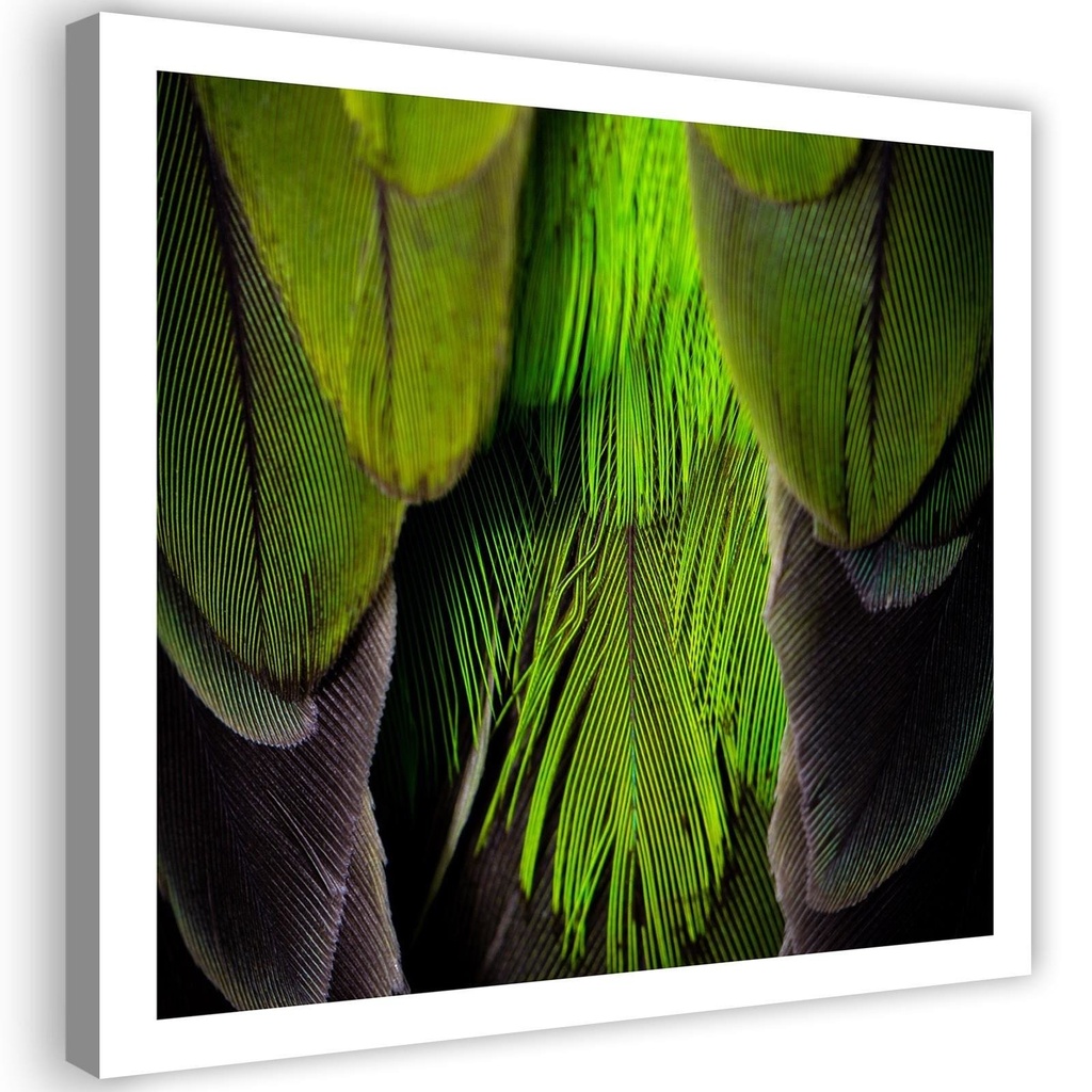 Cadre classique imprimé sur toile avec cadre solide en mdf finition de couleur verte
