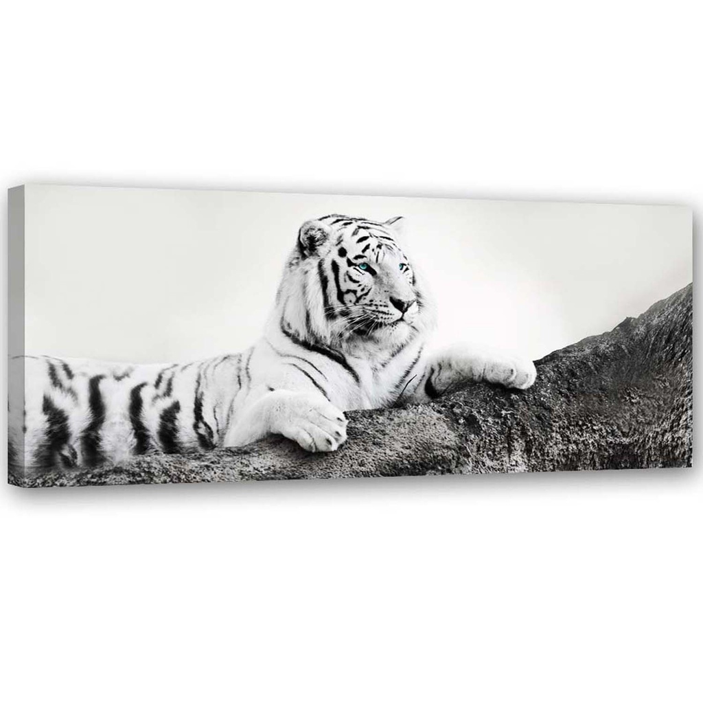 Cadre de tigre vigilant imprimé sur toile en mdf solide avec une finition de couleur noir et blanc
