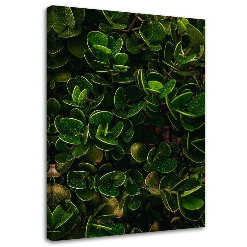 Cadre imprimé sur toile avec image de feuilles vertes et plantes exotiques fabriqué en bois et toile