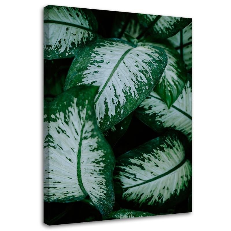 Cadre imprimé sur toile avec image de feuilles tropicales blanches et vertes fabriqué en bois et toile