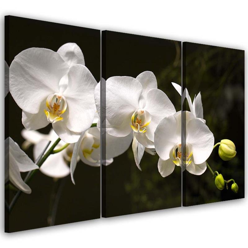 Cadre imprimé sur toile composé de 3 pièces avec image d'orchidée blanche sur fond noir fabriqué en mdf et toile