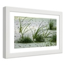 Cadre avec image d'herbes sur la plage imprimée sur papier satiné finition verte avec cadre en bois