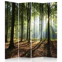 Paravent avec image rayons de soleils dans la forêt fabriqué en mdf et toile