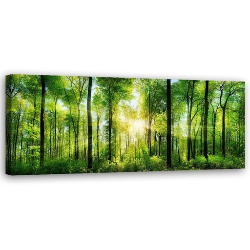 Cadre décoratif rectangulaire imprimé sur toile avec image de rayons de soleil dans le bois