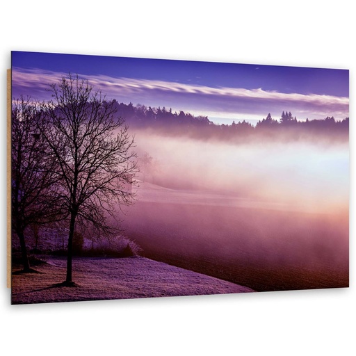 Cadre décoratif en hdf avec image de brouillard sur un lac imprimée sur papier finition violette