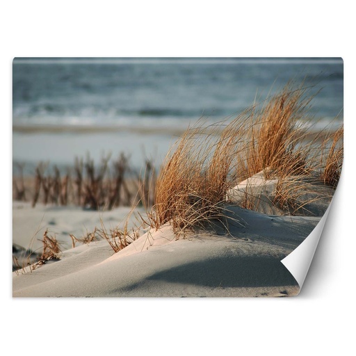 Papier peint rectangulaire imprimé sur toile avec finition beige dunes de la mer baltique