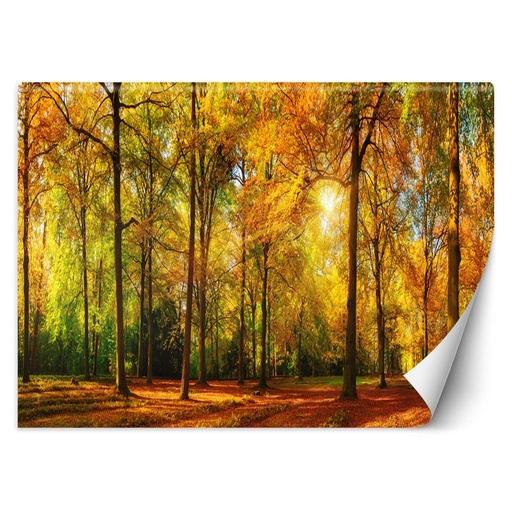 Papier peint imprimé sur toile avec colle motif bois en automne