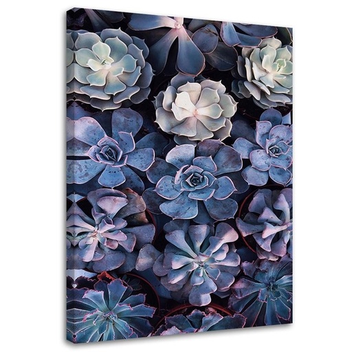 Cadre imprimé sur toile avec image de plantes succulentes fabriqué en bois et toile